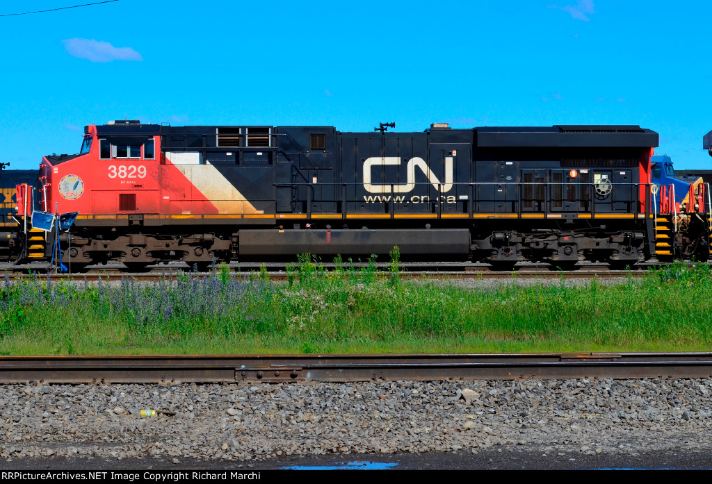 CN 3829